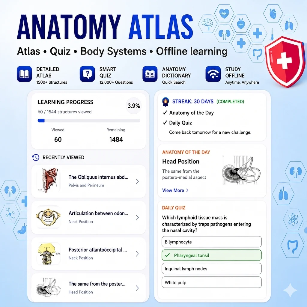 Gray's Anatomy - Anatomy Atlas screenshot